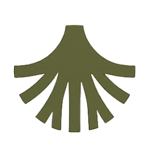 seishin raices